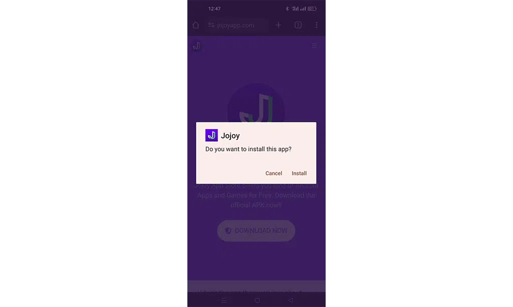 Installation warning jojoy minecraft