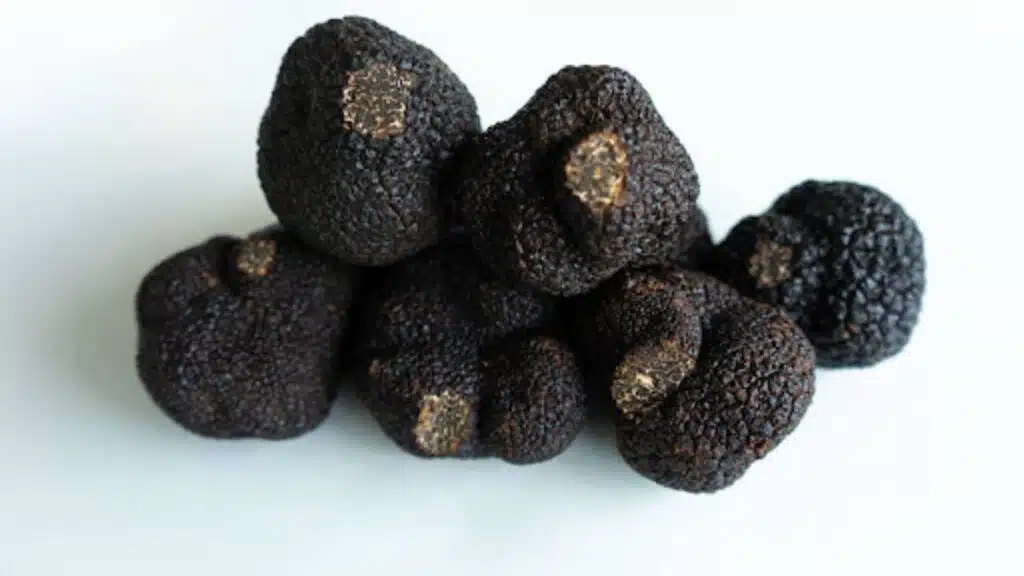 Black Truffle Strain