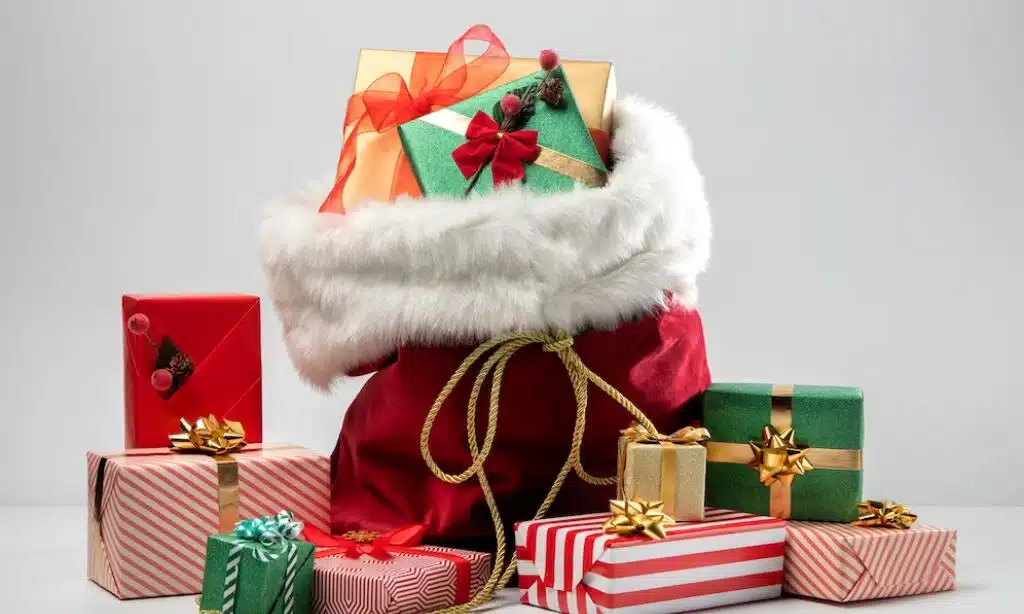 Christmas Gifts Under $20