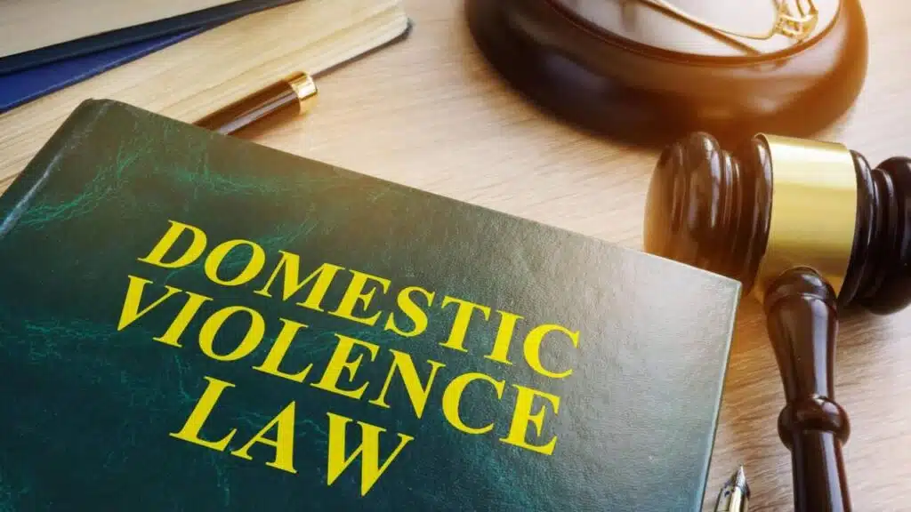 Domestic Violence Laws