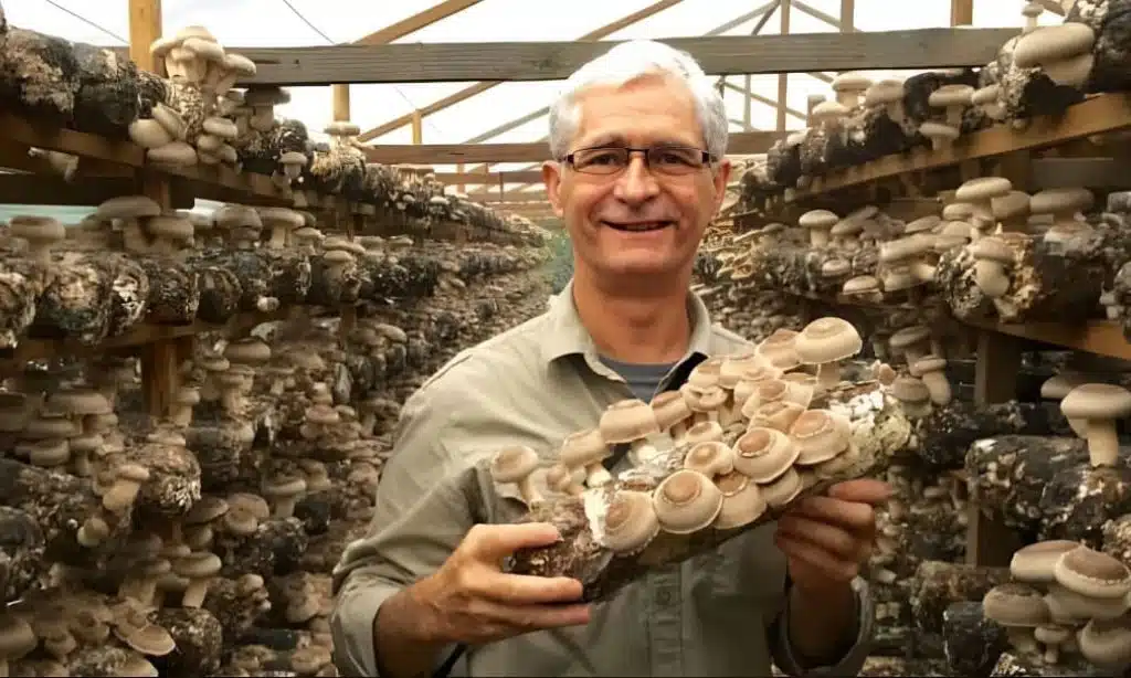 How To Start A Certified Organic Mushroom Farm