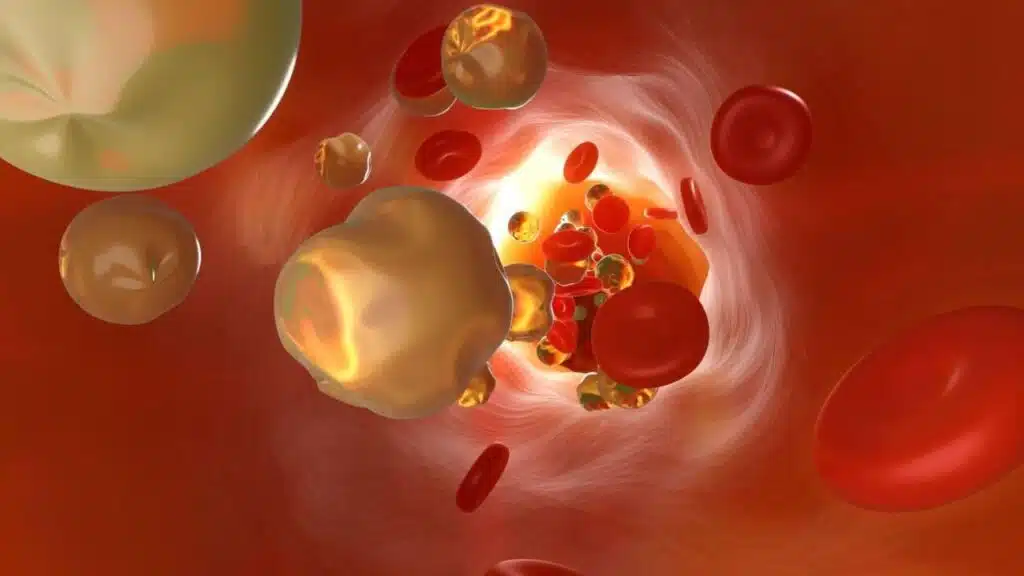 Most Searched Health Questions on Google