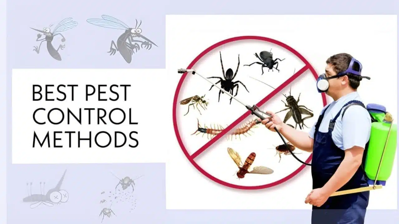 best Pest Control Methods