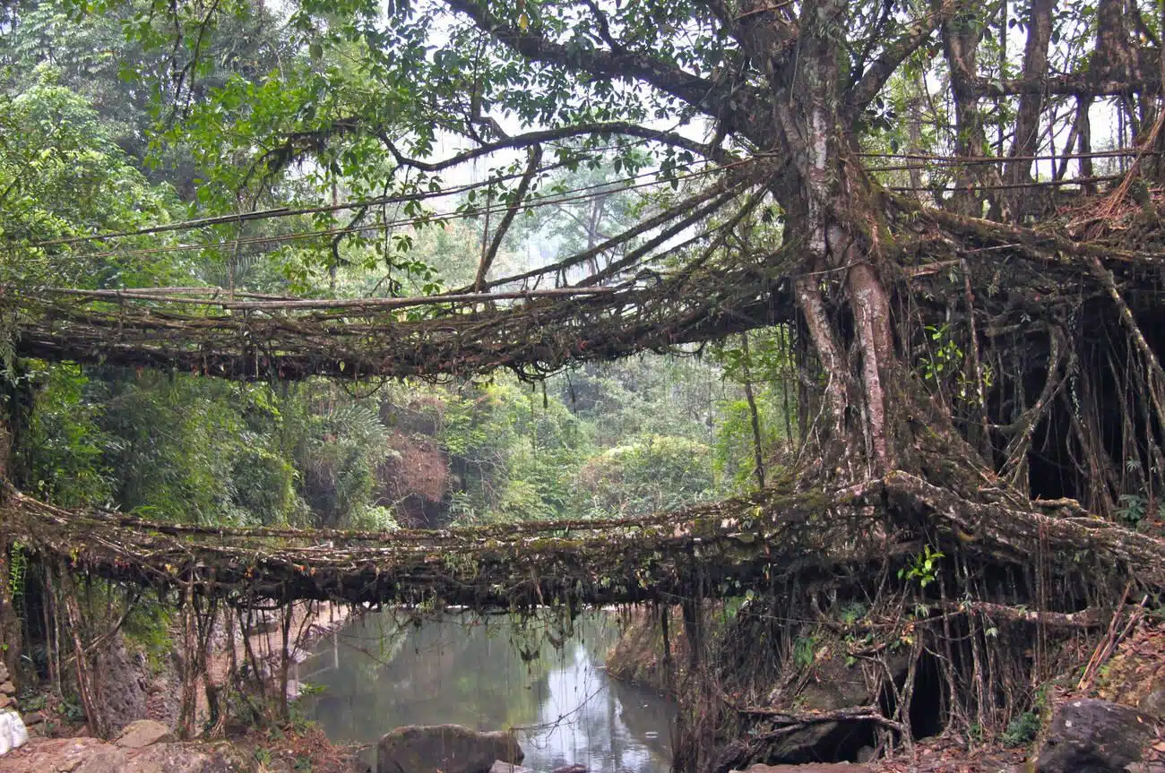Most beautiful bridges in the world