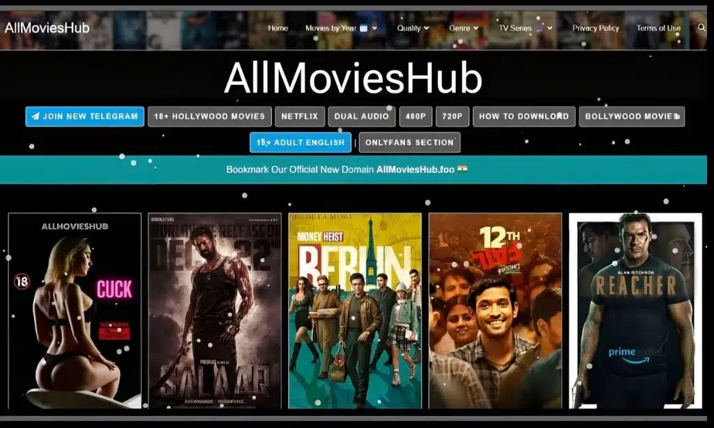 overview of allmovieshub