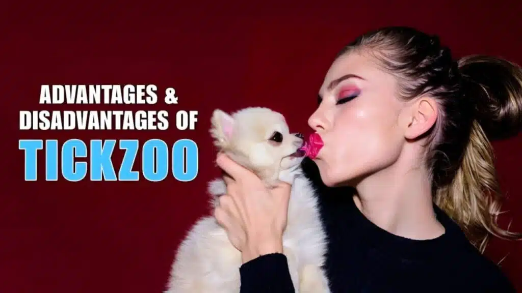 Advantage and Disadvantages of Tickzoo