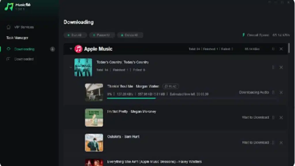 Apple Music Conversion Journey