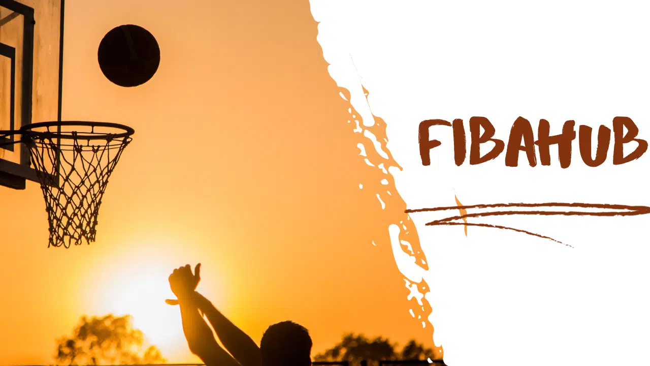 Fibahub