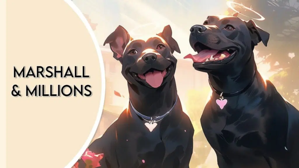 Marshall and Millions