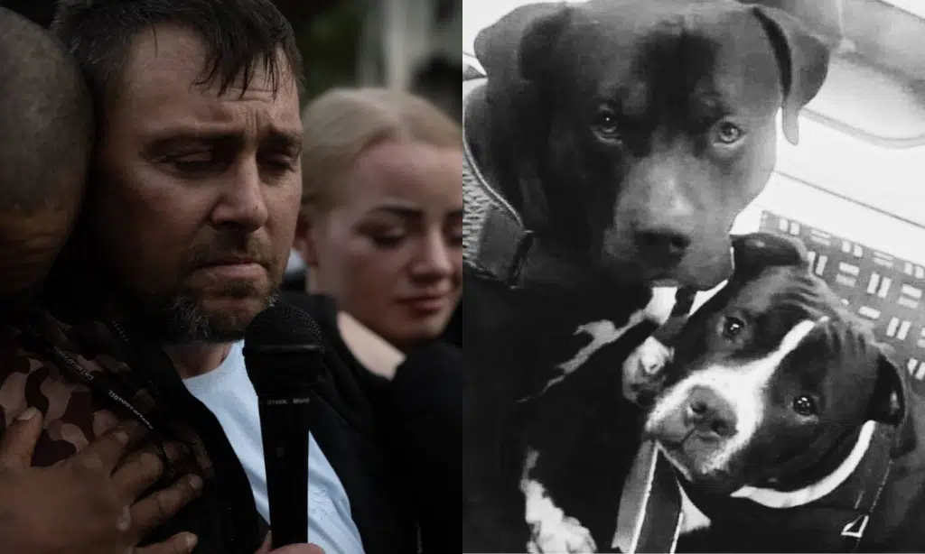 Marshall and Millions case updates