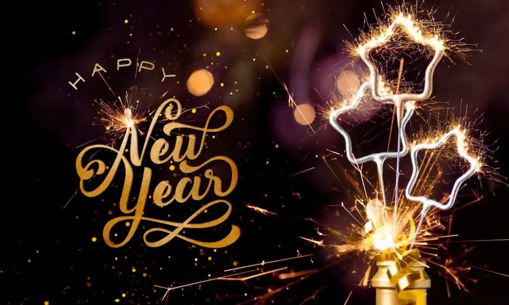 New Year 2024 Celebrations