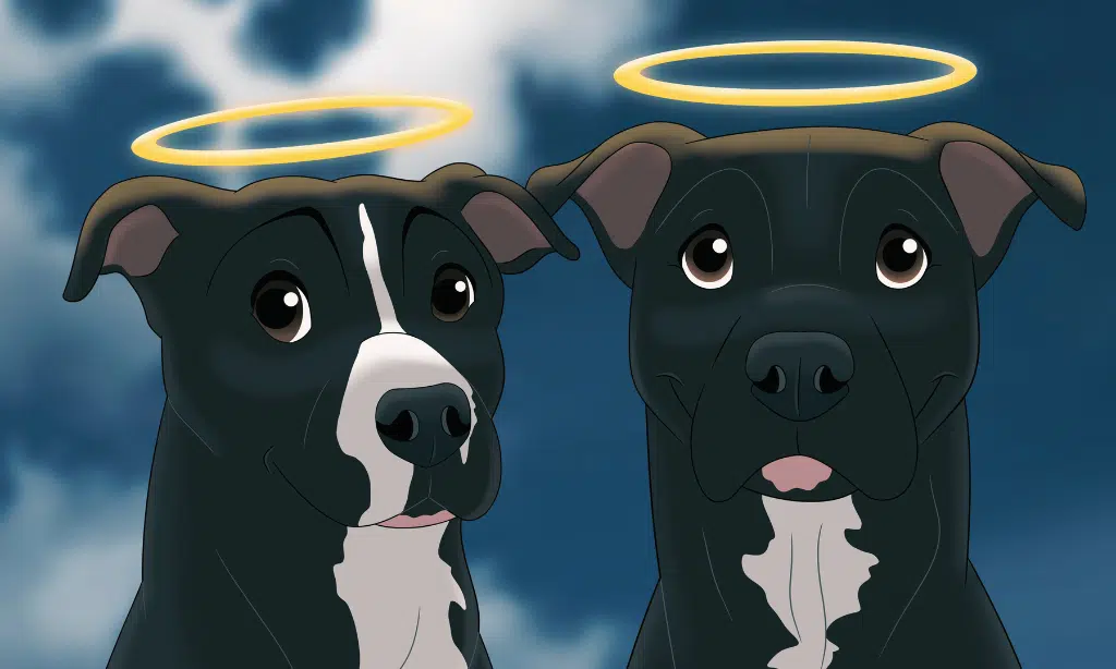 rest in peace Marshall and Millions