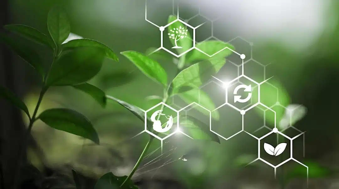 vlineperol precautions