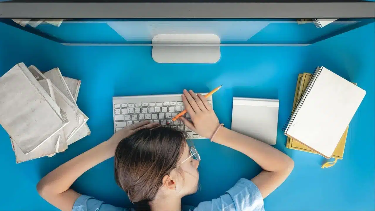 Essay Writing Genres Guide