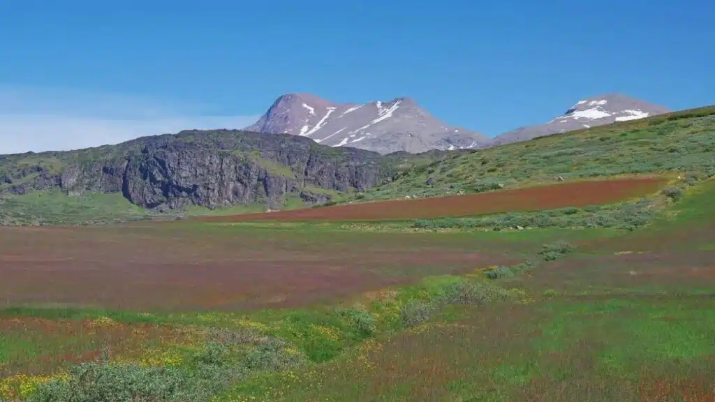 Greenland Getting Greener Global Consequences