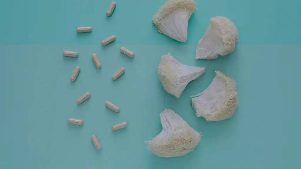 Lion Mane Supplement