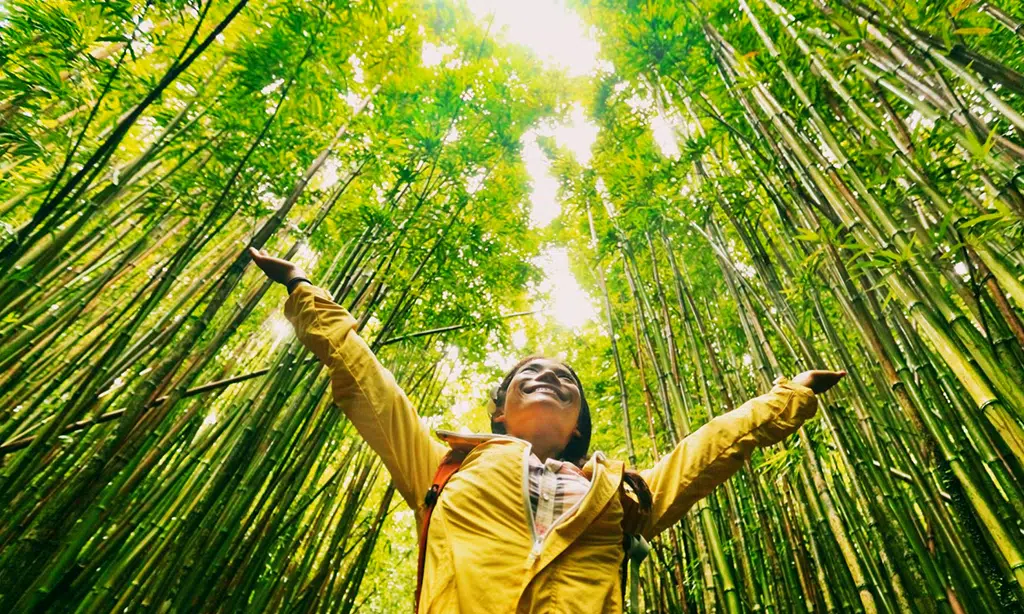 Photography Paradise in Venezuela