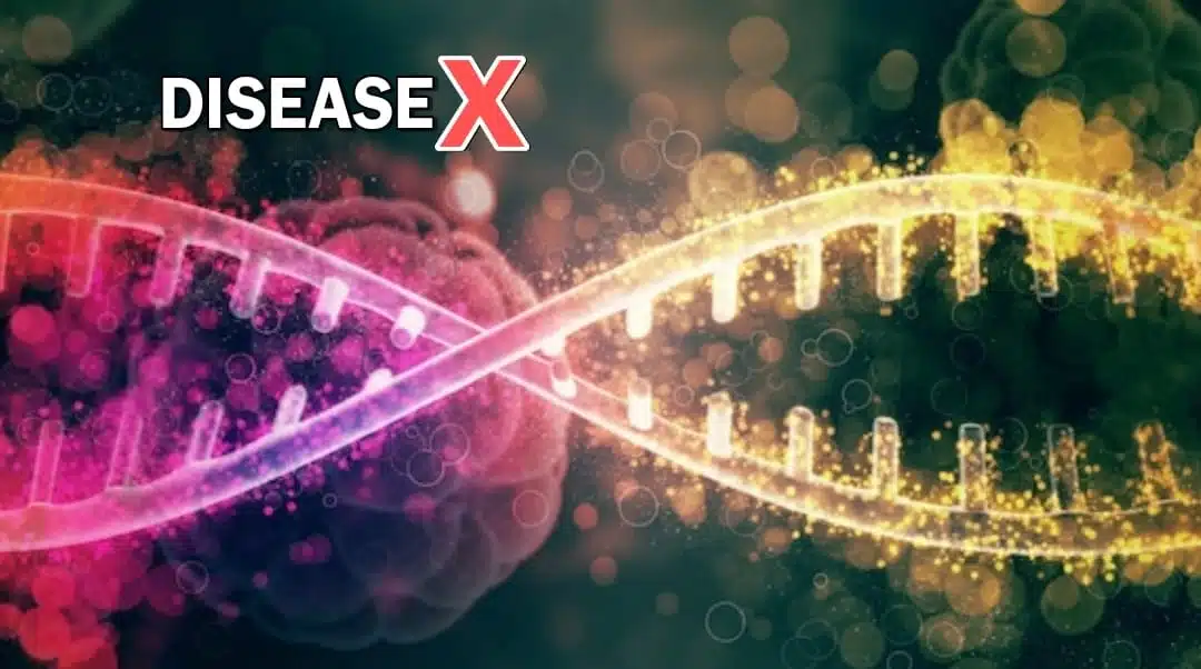 next pandemic disease x