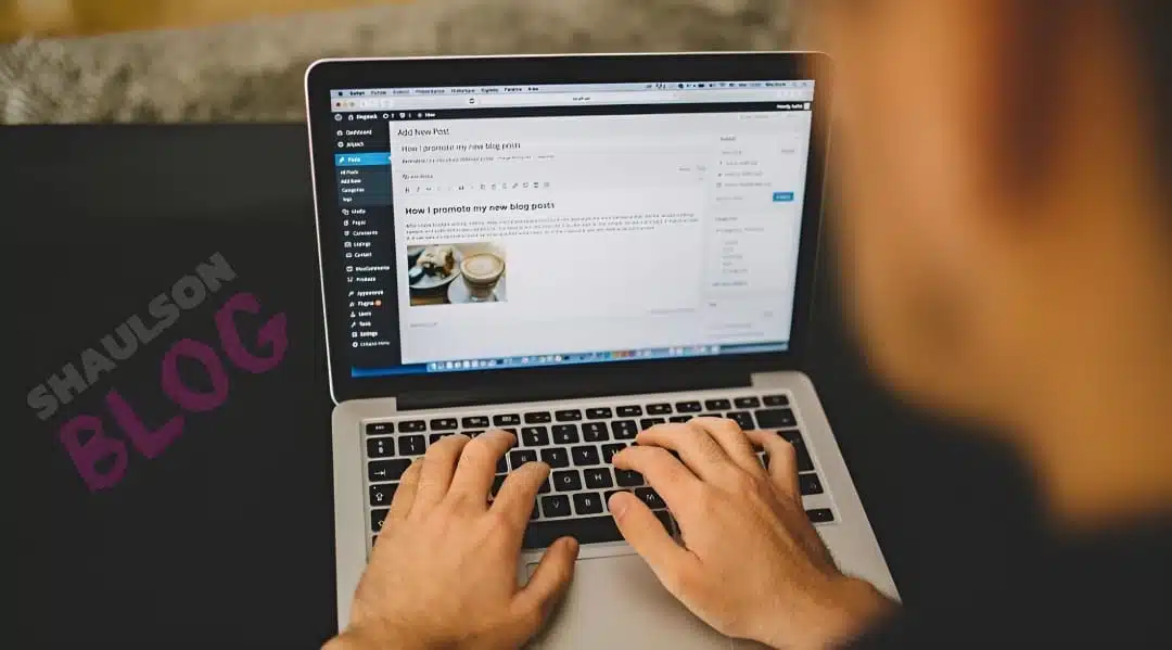 shaulson blog how to