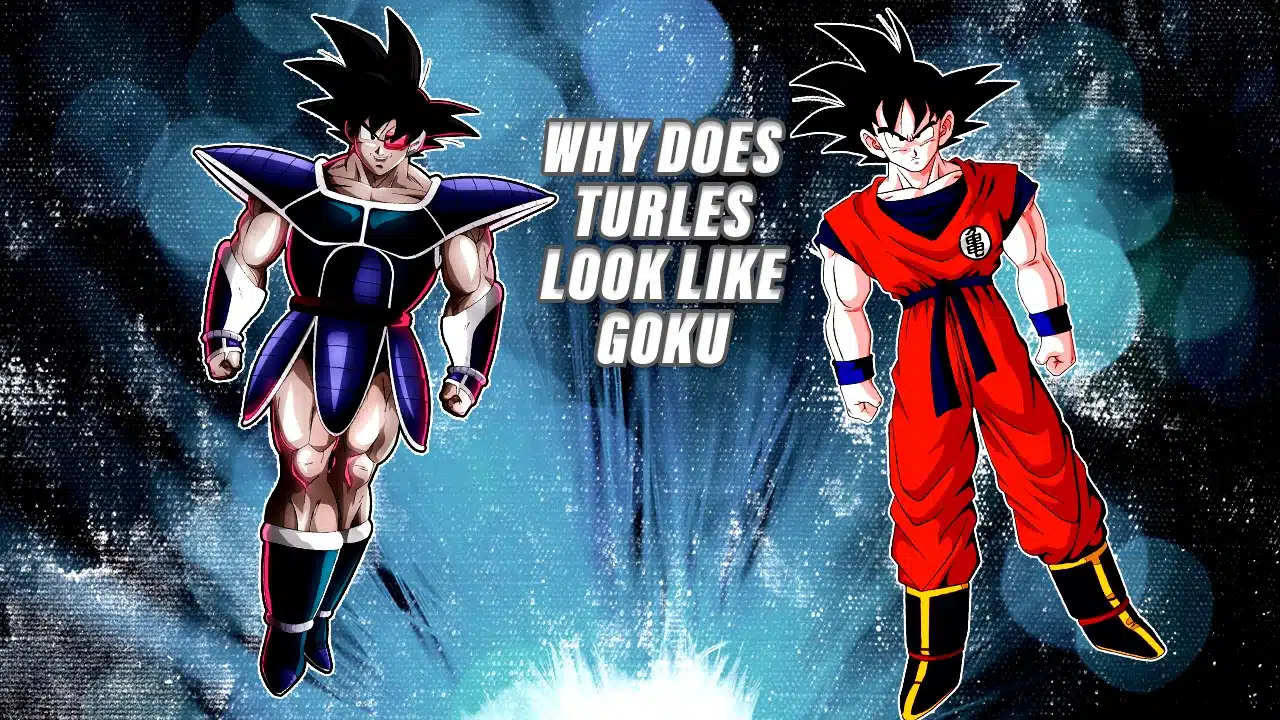 why does turles look like goku