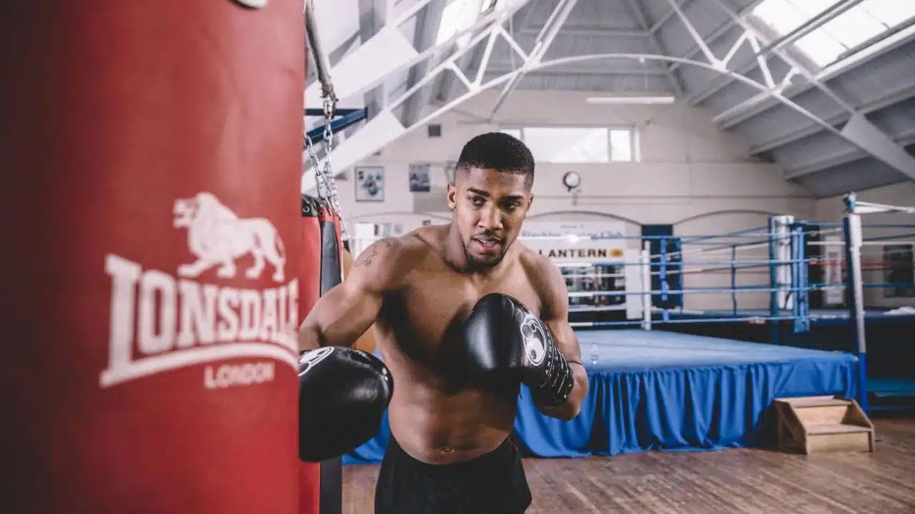 Heavyweight Boxing Greatness