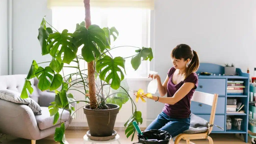 Japanese Concepts for Better Living