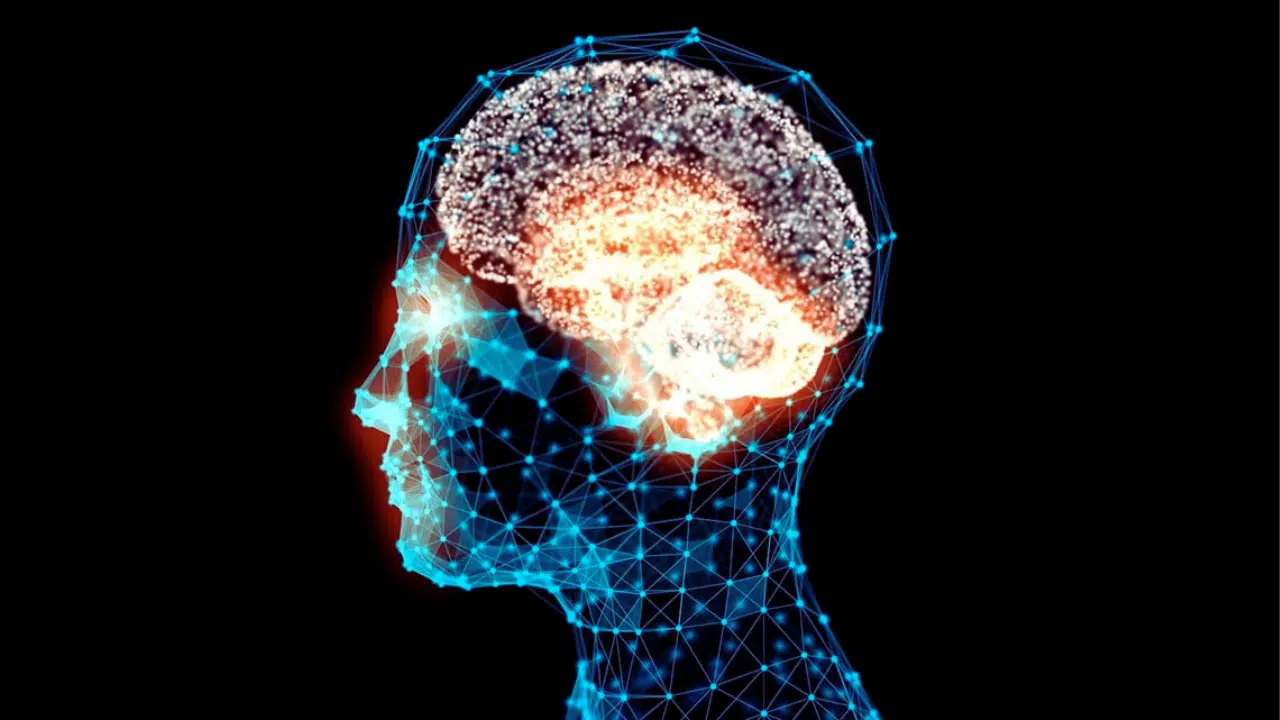 Increase Intelligence