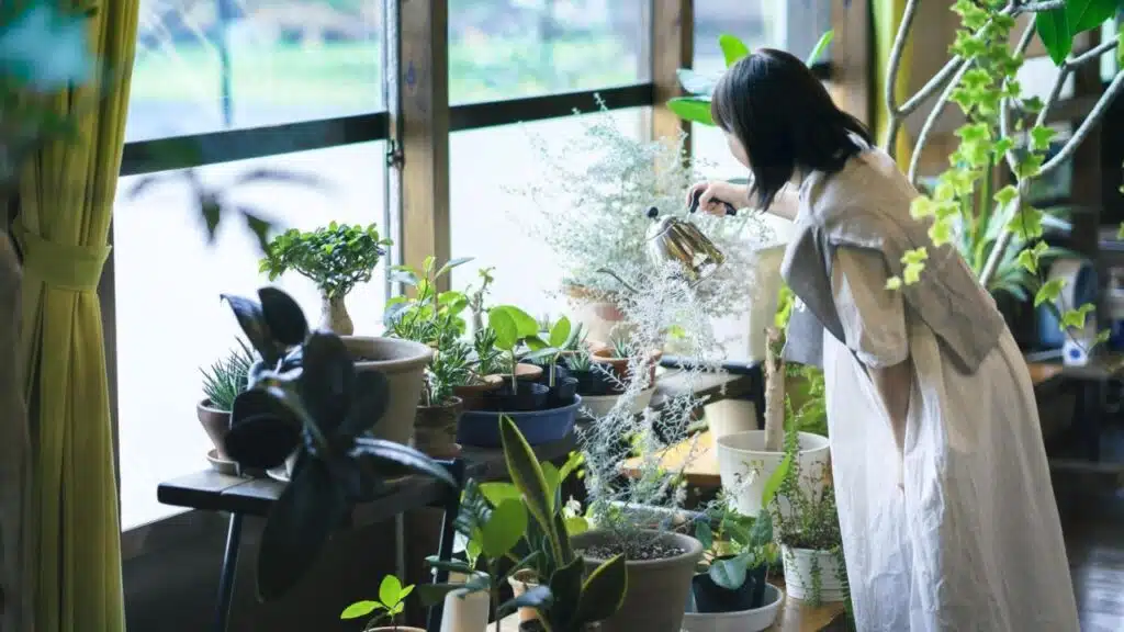 Japanese Concepts for Better Living