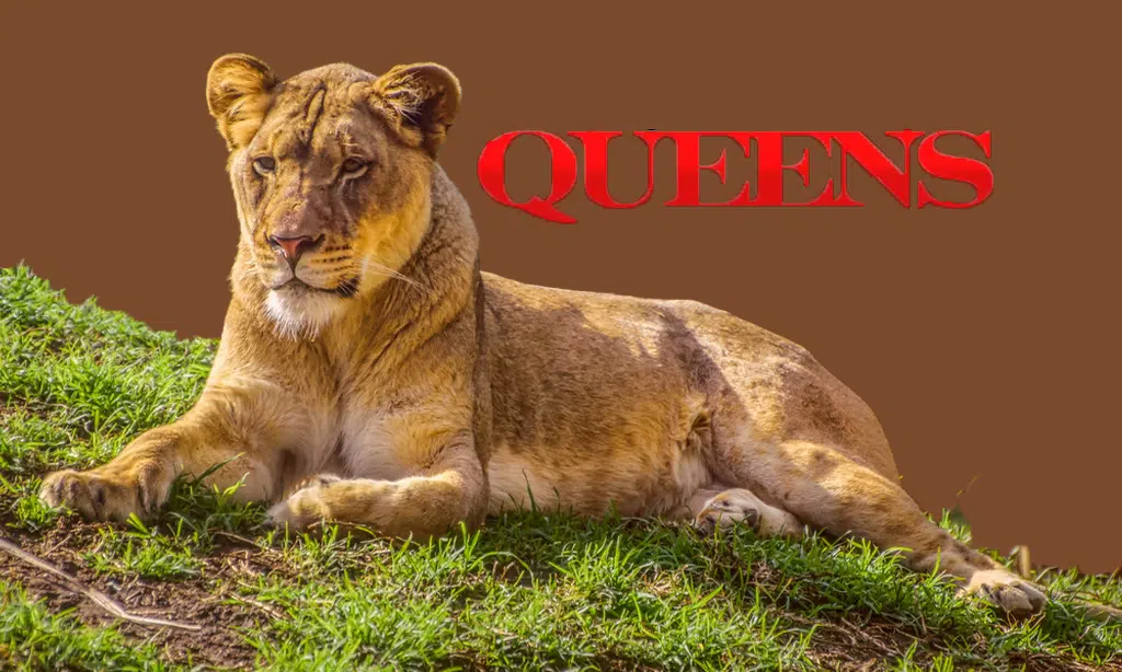 Queens - narrated by Angela Bassett