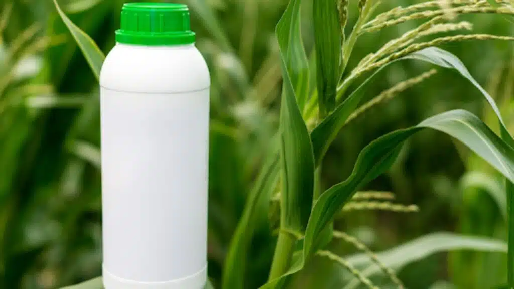 Role of Ethanol in Modern Society