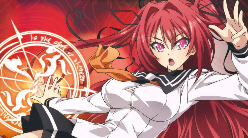 The Testament of Sister New Devil