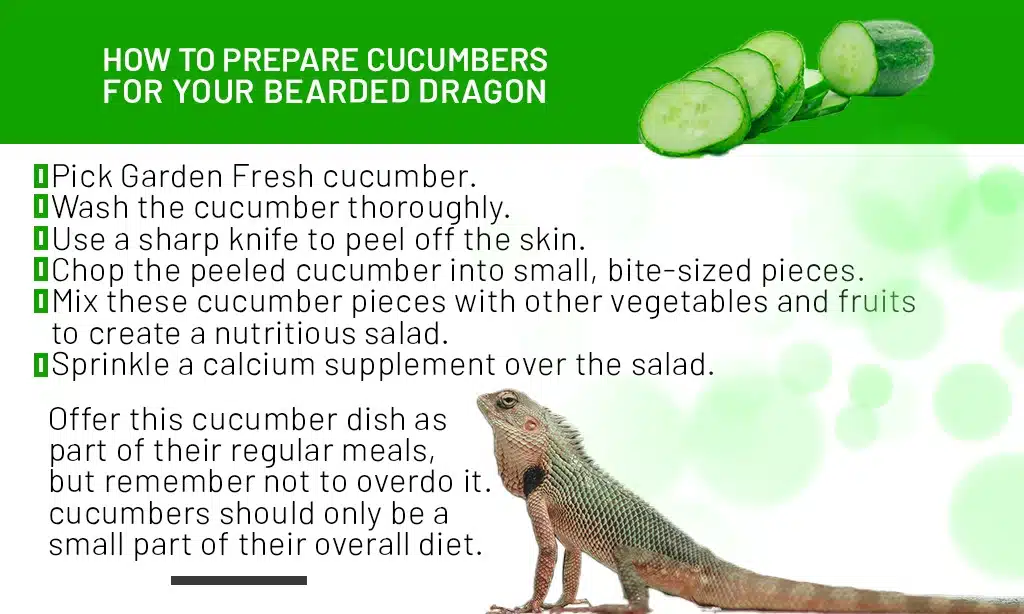 preparing cucumbers for bearded dragons
