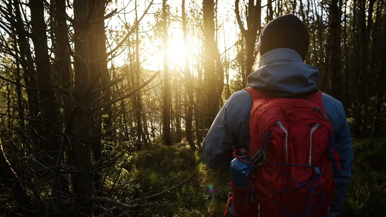 is trails carolina safe