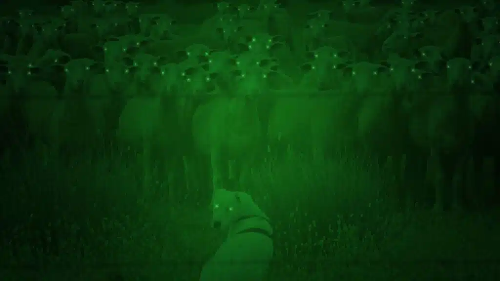 Digital Night Vision Technology