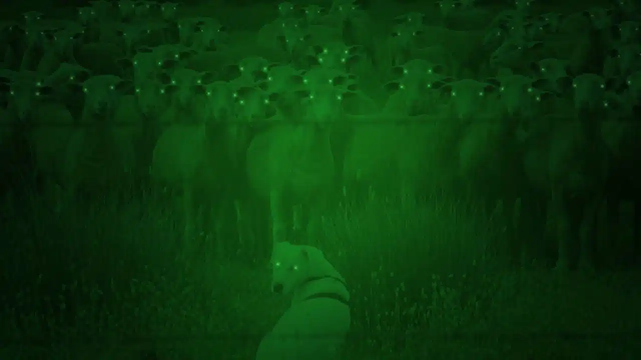 Digital Night Vision Technology