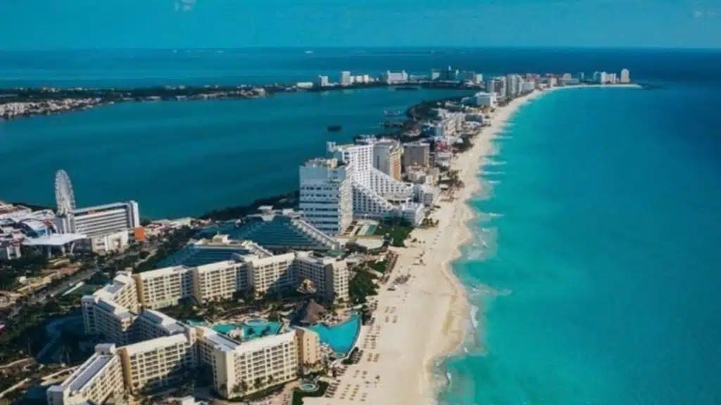 Travelingos vs. Expedia