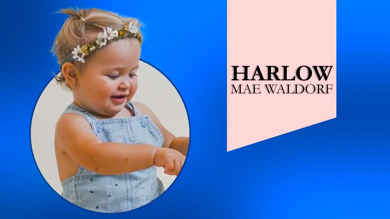 harlow mae waldorf
