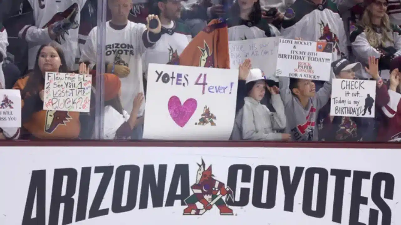 A Bold Move by the NHL