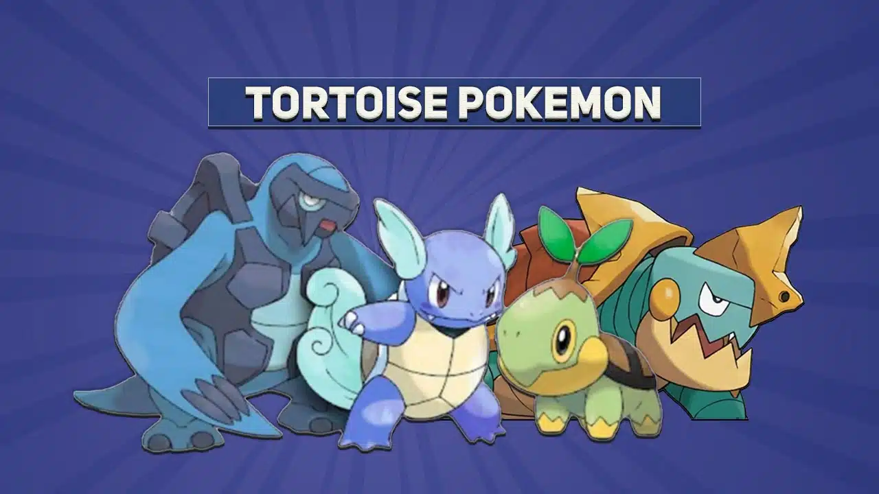 tortoise pokemon