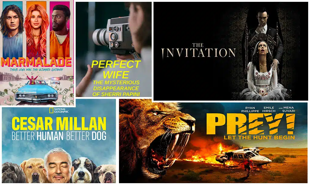 All new june 2024 movies on hulu