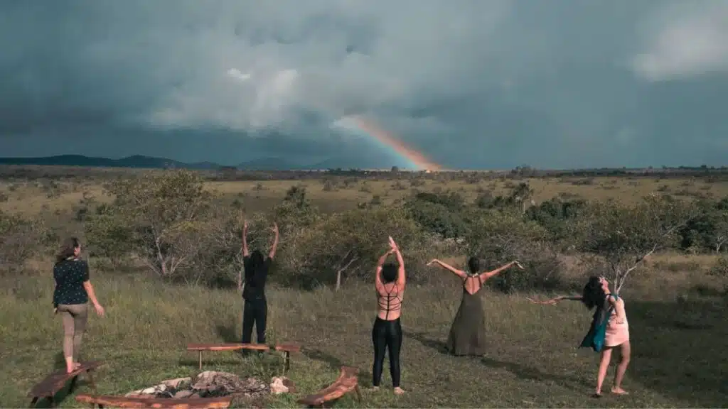 Brazil Cerrado Deforestation Higher than Amazon