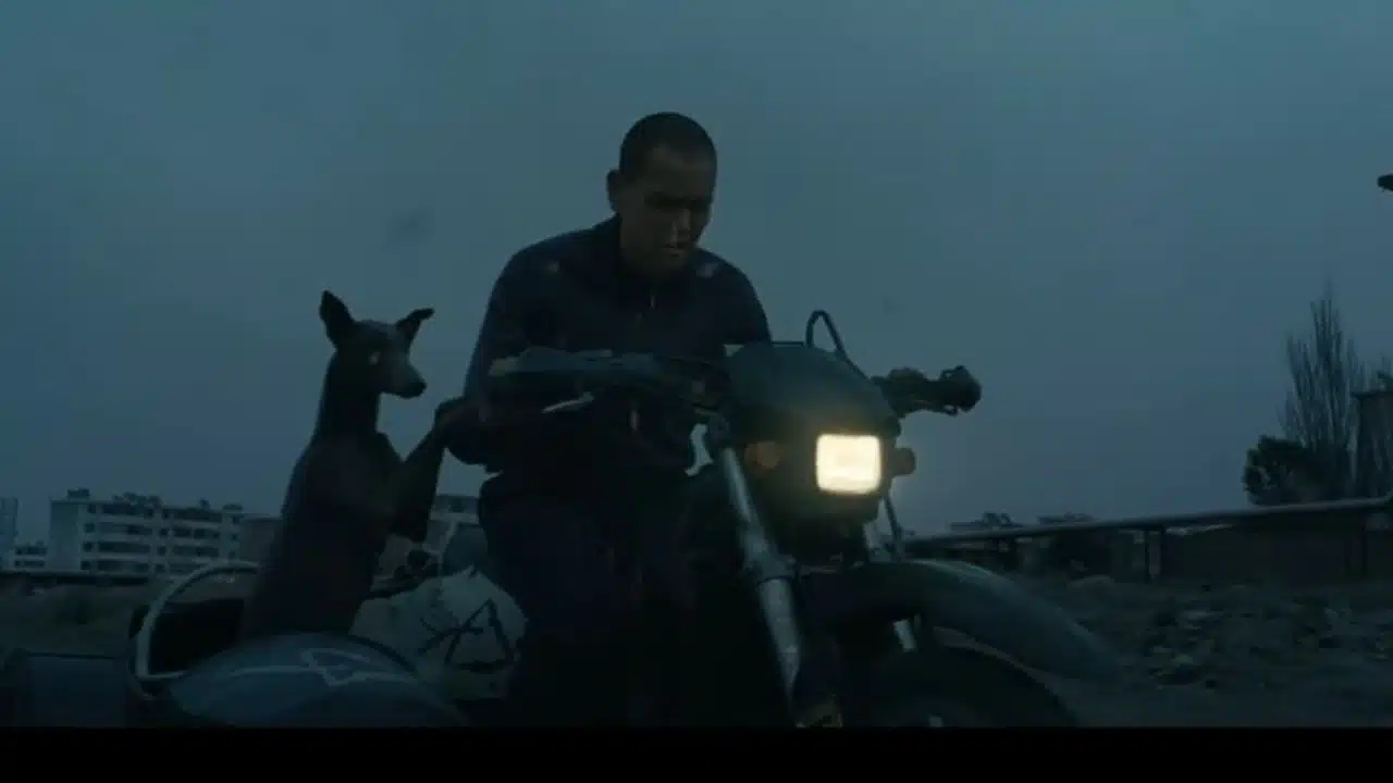 Cannes Black Dog Wins Un Certain Regard Award