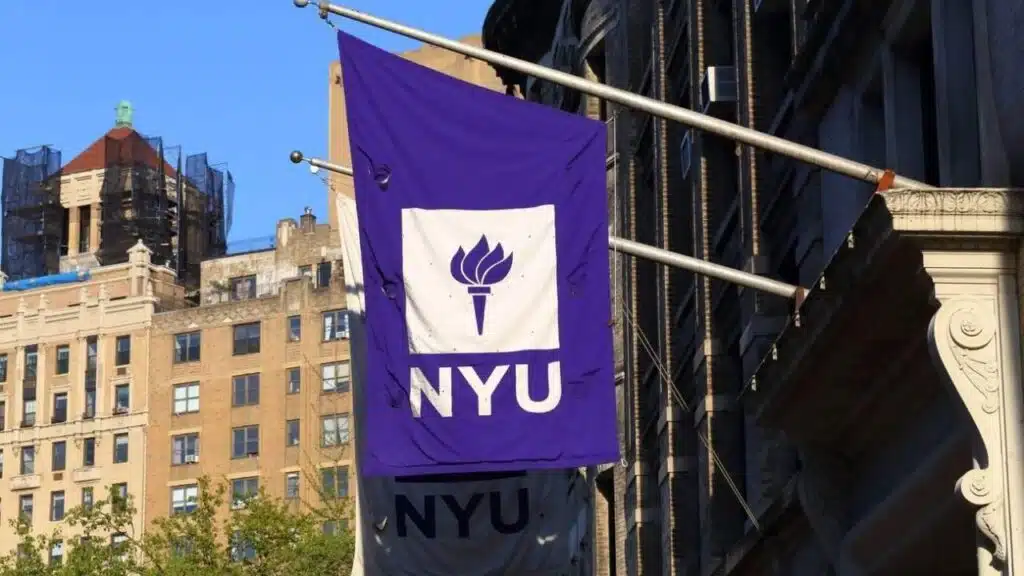 New York University