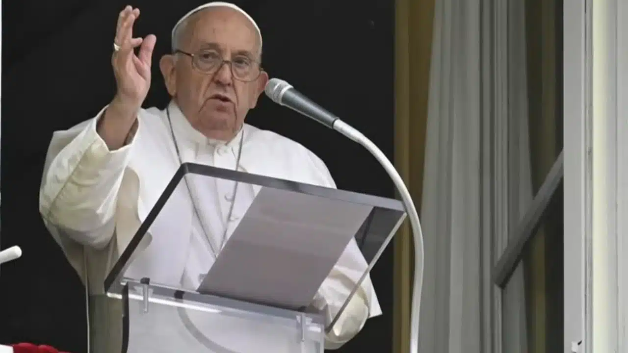 Pope Francis Apology Gay Slur Vatican Response