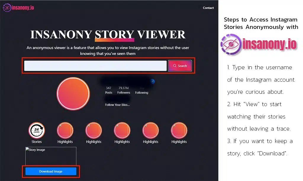 how to access instagram stories with insanony