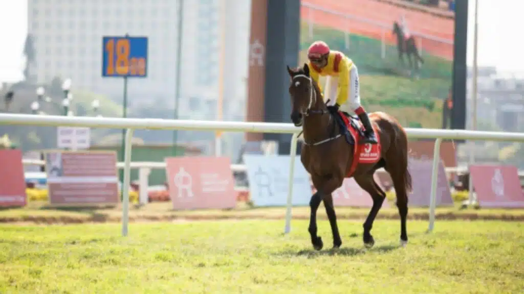 kentucky derby 2024 ultimate checklist