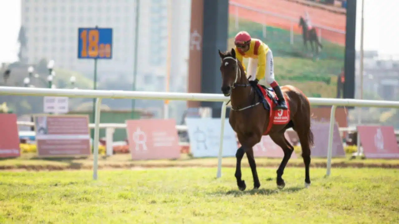 kentucky derby 2024 ultimate checklist