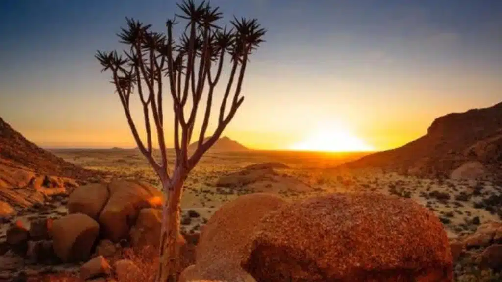 15 Unforgettable Safaris for Nature Lovers