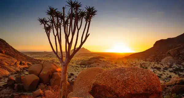 15 Unforgettable Safaris for Nature Lovers