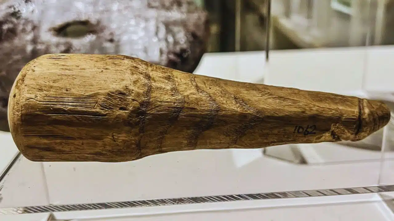 Ancient Roman Dildo Discovery